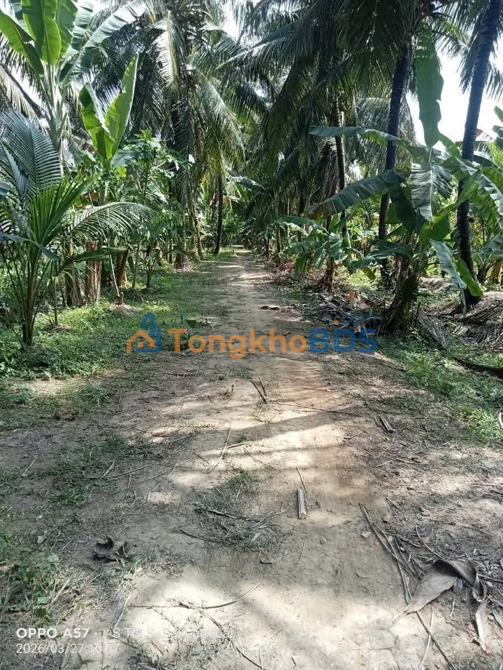 Đất vườn Thanh Tân 4.700m² giá 2.679 tỷ - Sinh thái xanh đầu tư dài hạn