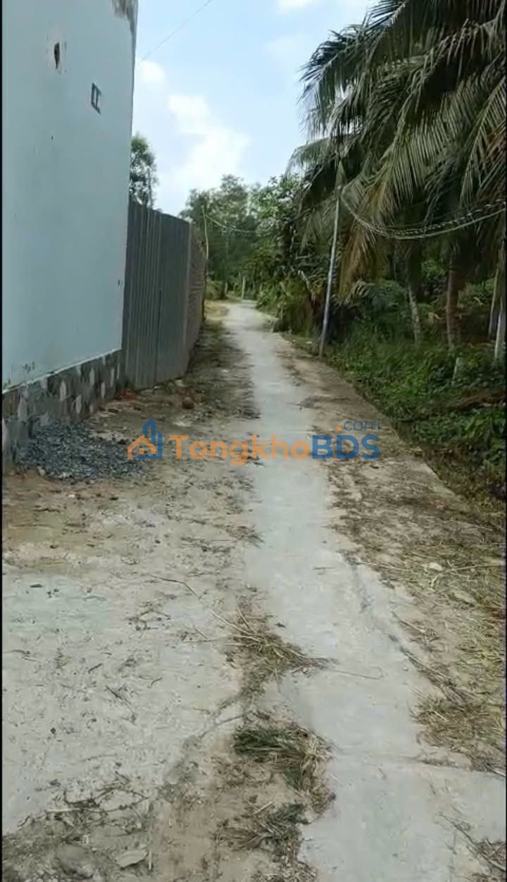 Đất nền Phú Túc Vĩnh Long 100m² 400 triệu - Đất thổ cư 100%