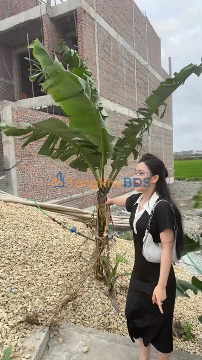 Đất nền Hoa Lư 105m² thỏa thuận - Xây dựng tự do