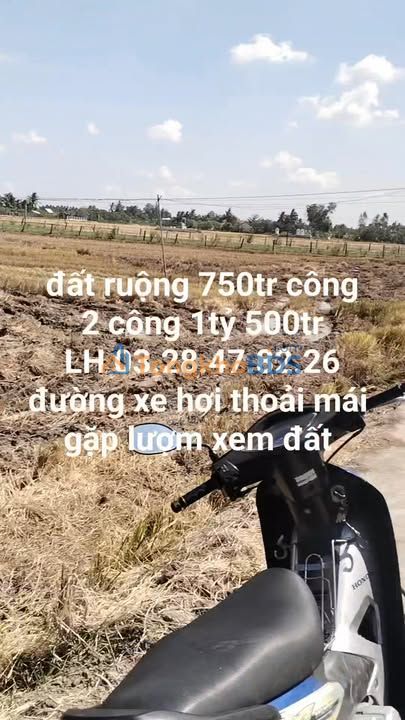Đất ruộng Tân Trung Gò Công 2000m² 1,5 tỷ - Sổ đỏ chính chủ