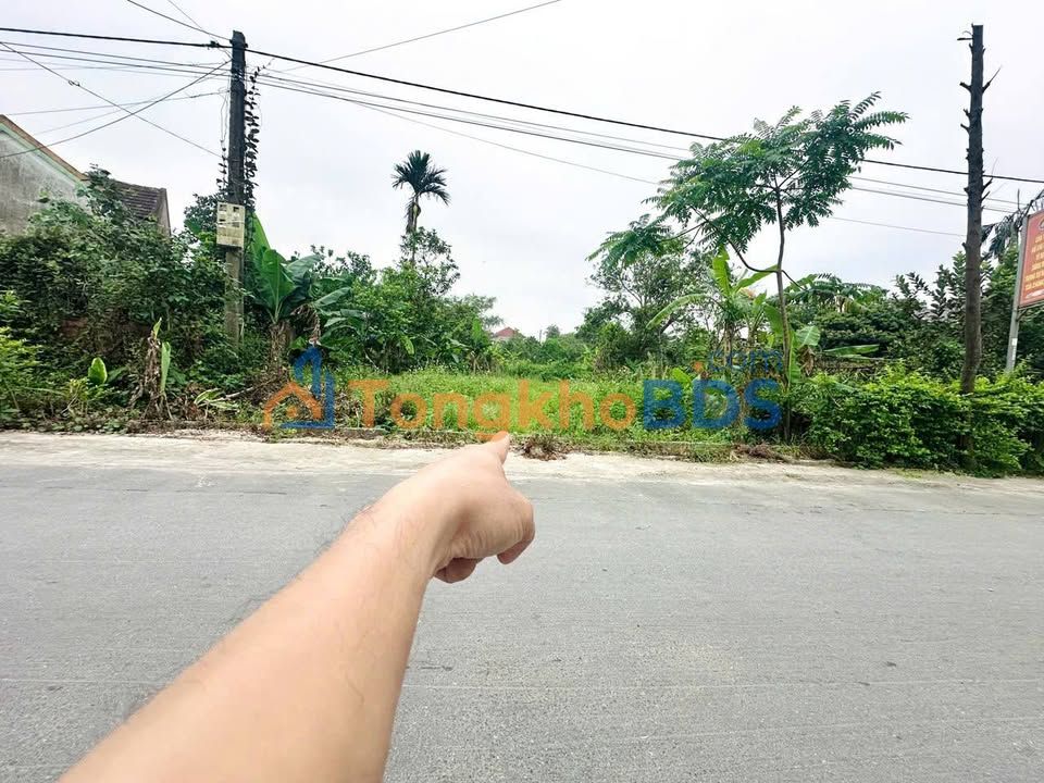 Đất nền Cẩm Vịnh 188m² giá 1.8 tỷ - Đường to ô tô