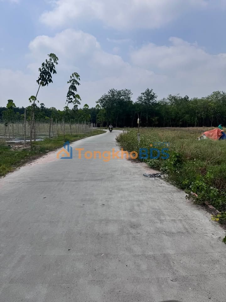 Đất nền Chánh Phú Hòa Bến Cát 2.520m² 6 tỷ - Xây dựng tự do