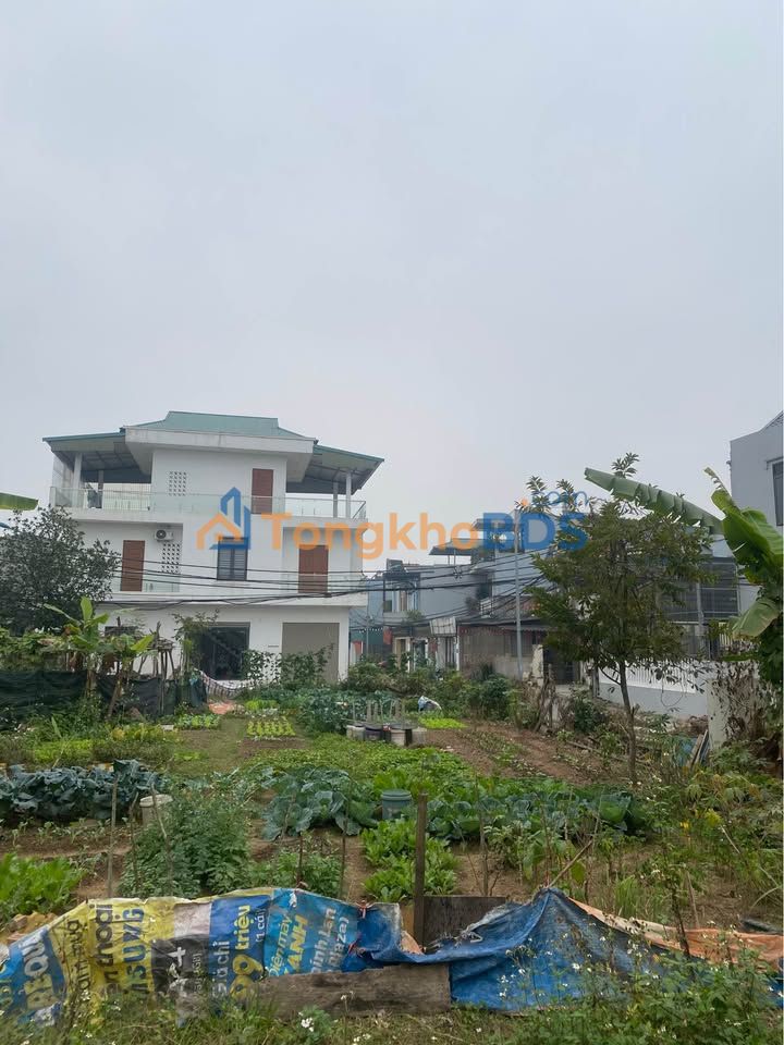 Đất nền Thịnh Lang Hòa Bình 109m² - Sổ đỏ chính chủ