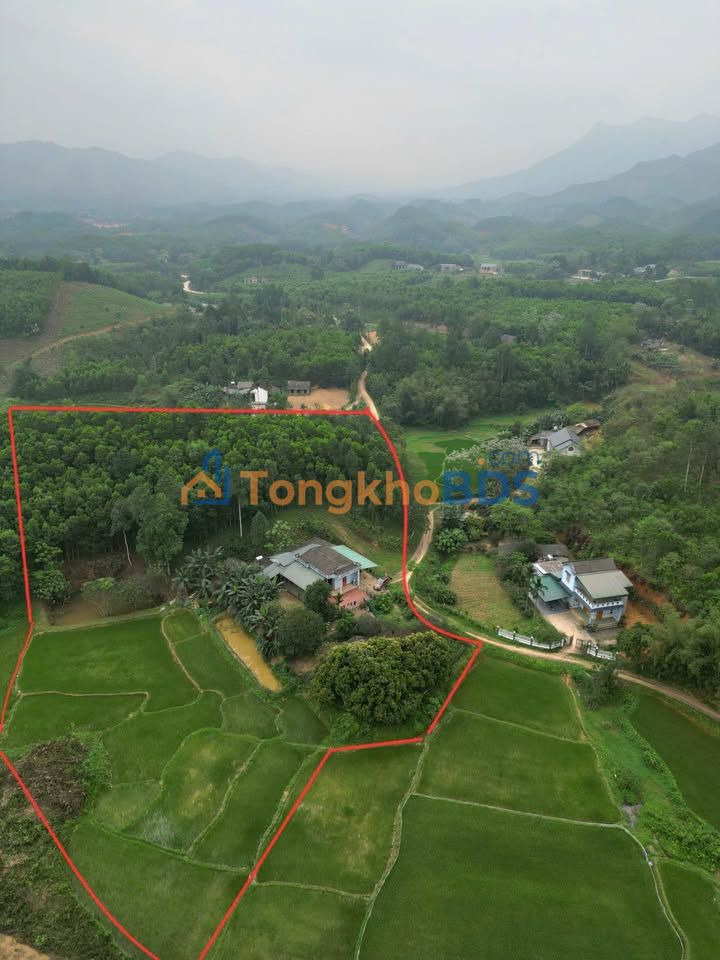 Farm Đồng Lạc Yên Lập 7.000m² 1 tỷ - Nghỉ dưỡng lý tưởng
