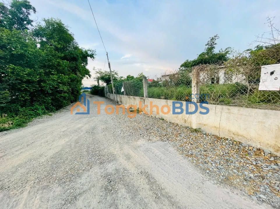 Đất nền Đức Hòa Hạ 550m² giá 3.25 tỷ - Sổ đỏ chính chủ