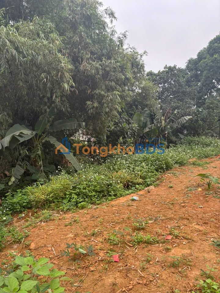 Đất nền Vân Hòa Ba Vì 526m² thỏa thuận - Đường to ô tô