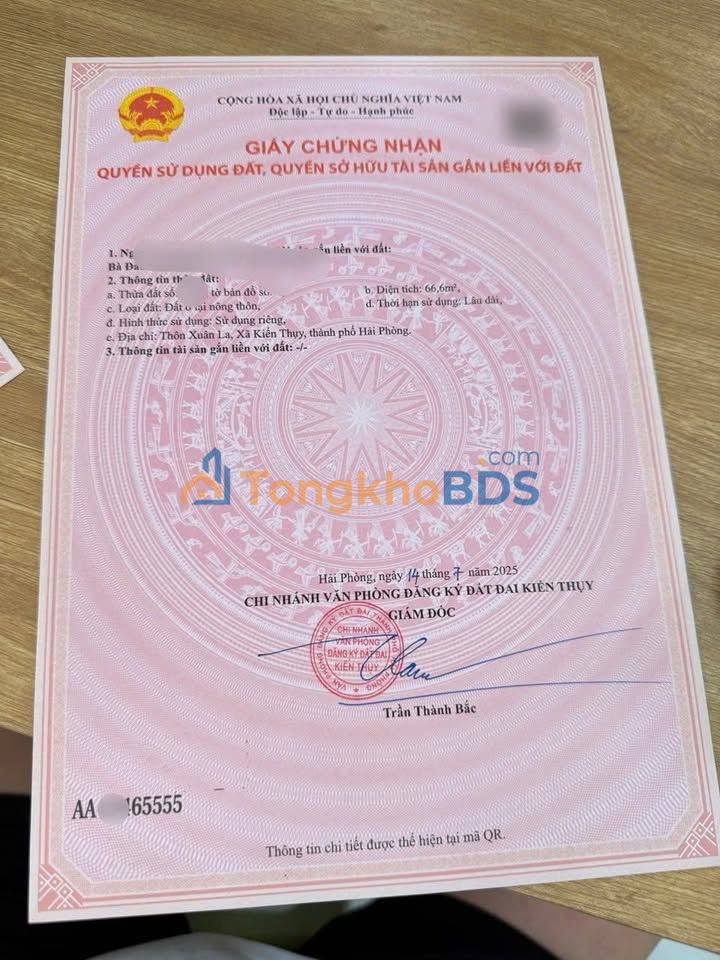 Đất nền Thanh Sơn Kiến Thuỵ 66.6m² 9xx triệu - Giá F0 CĐT