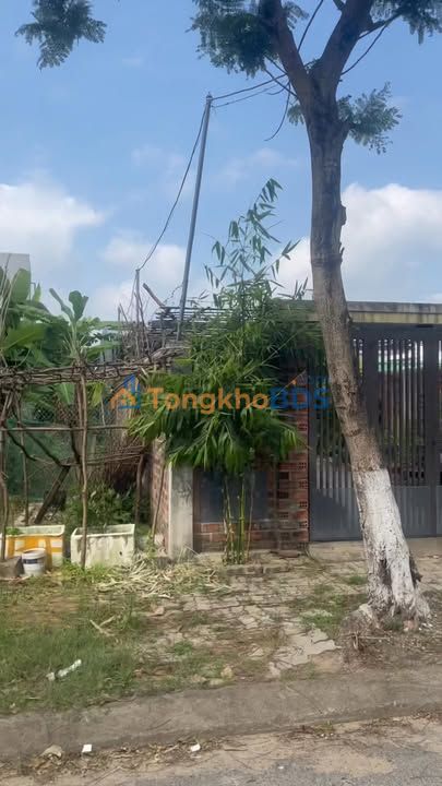 Đất nền Sơn Trà 100m² 8 tỷ - Giá tốt hiếm có