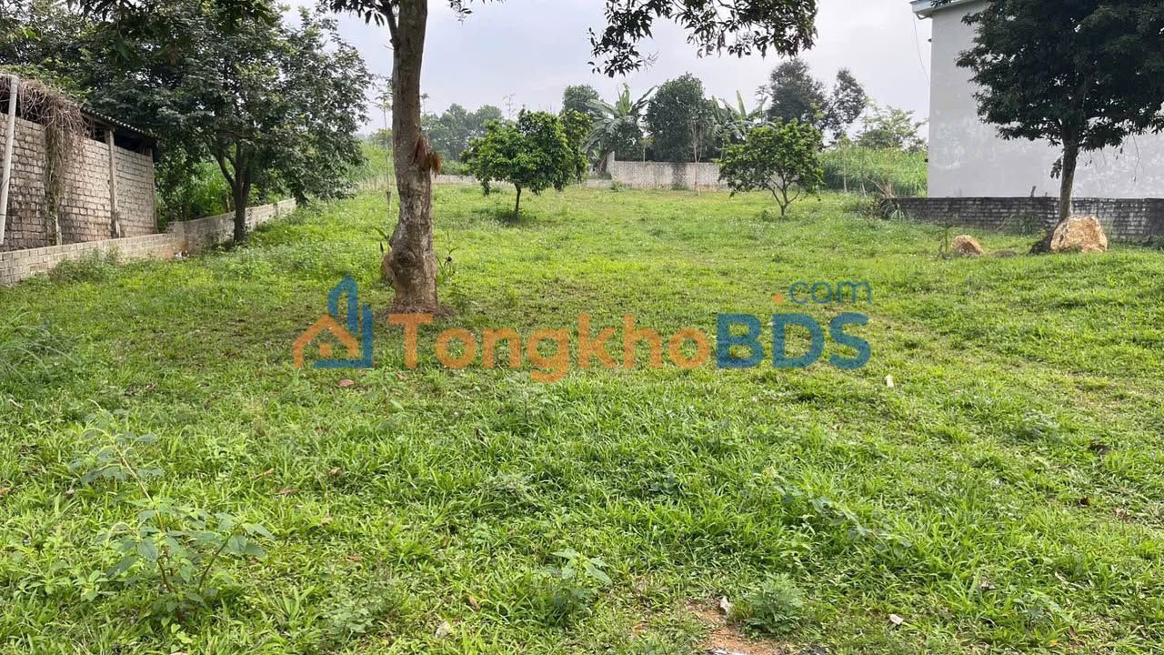 Đất nghỉ dưỡng Yên Bài Ba Vì 1.7k m² - Đường ô tô 45 chỗ