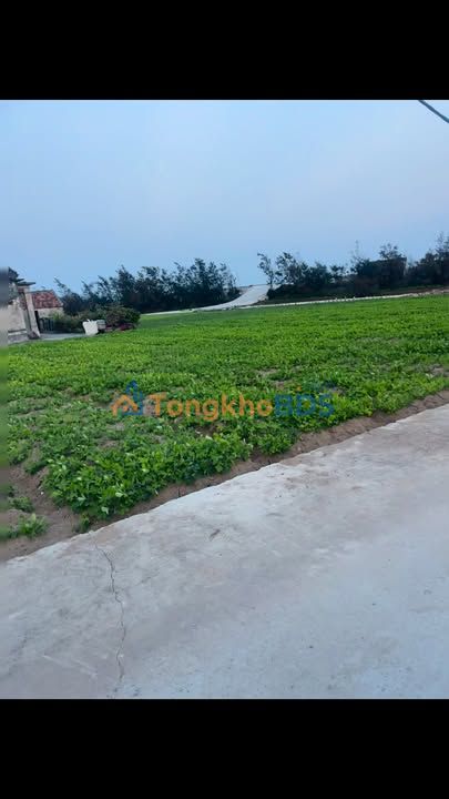 Đất nền Hải Hòa 1010m² thỏa thuận - Pháp lý rõ ràng