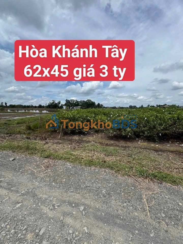 Farm Hòa Khánh Tây Long An 2.873m² 3 tỷ - Đường to ô tô