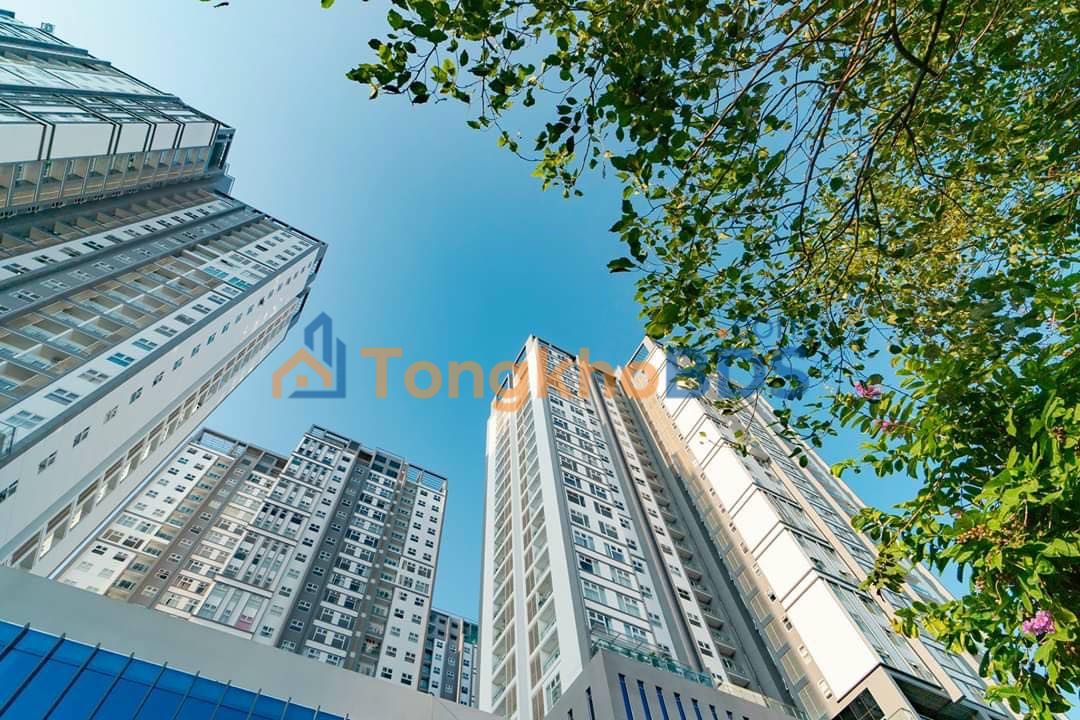 Căn hộ Xi Grand Court Q10 75m² 7,1 tỷ - View đẹp ban công