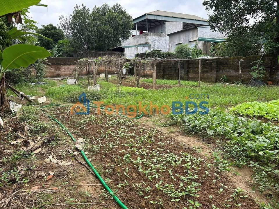 Đất nền Sơn Tây 800m² giá thỏa thuận - Sổ đỏ chính chủ