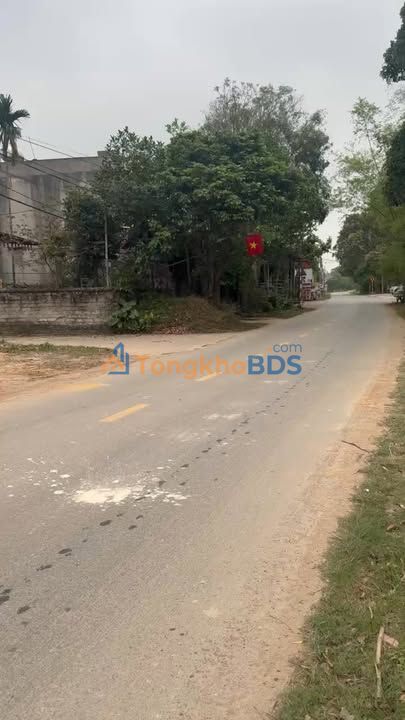 Đất nền Tân Yên Bắc Giang 700m² 5 tỷ - Đường ô tô