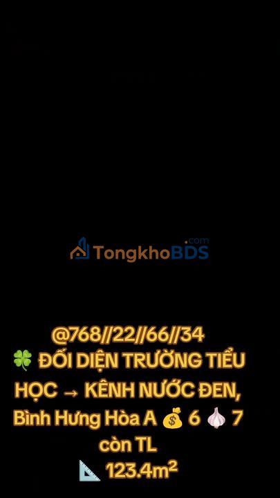 Nhà phố Kênh Nước Đen Bình Hưng Hoà A 123m² - Mặt tiền kinh doanh