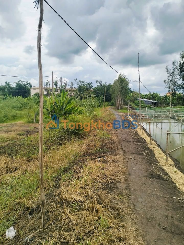 Đất nền Bình Chánh Đa Phước 10.000m² giá 19 tỷ - Sổ đỏ chính chủ