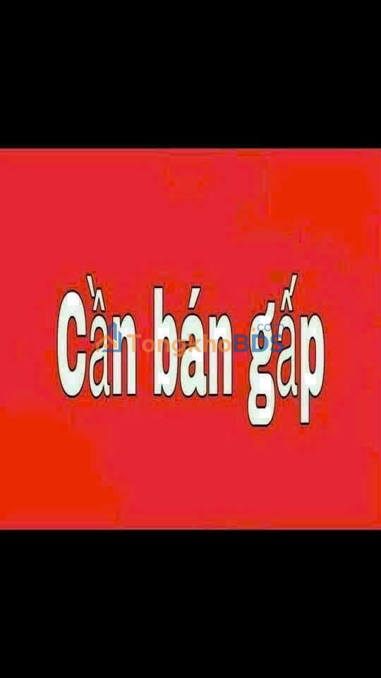 Đất thổ cư Tân Quý Tây Bình Chánh 1000m² 17 tỷ - Sổ đỏ