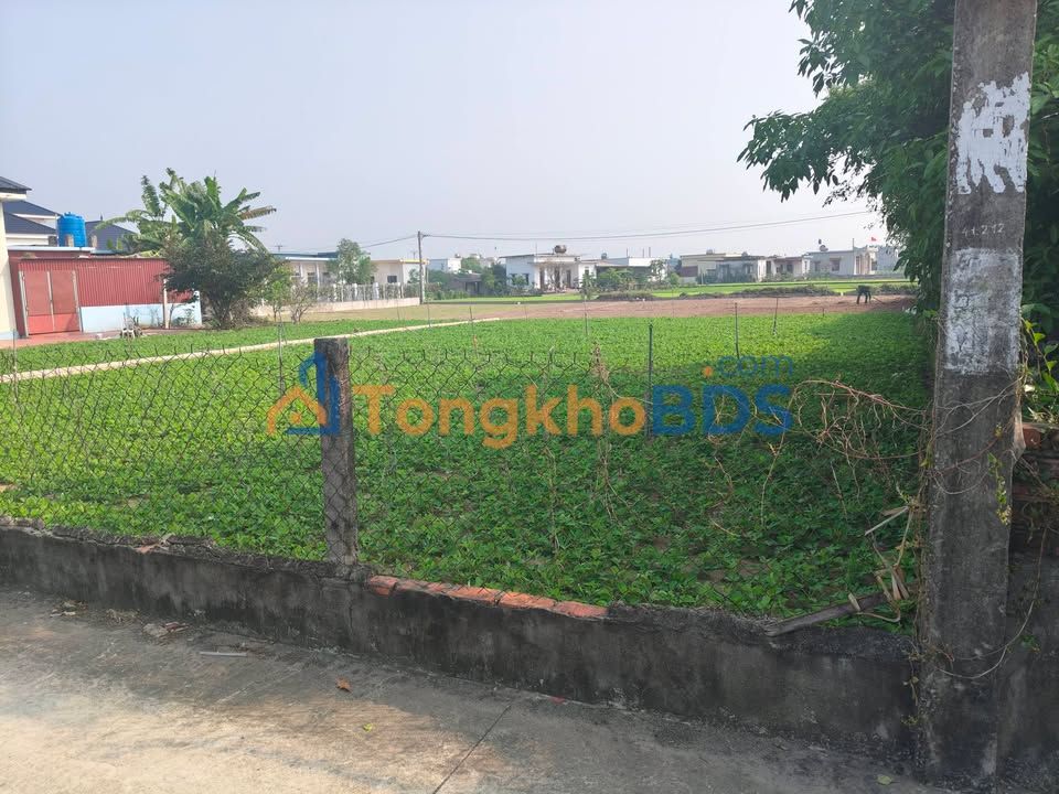 Đất nền Giao Phong Trục Thống Nhất 391m² 3 tỷ - Sổ đỏ chính chủ