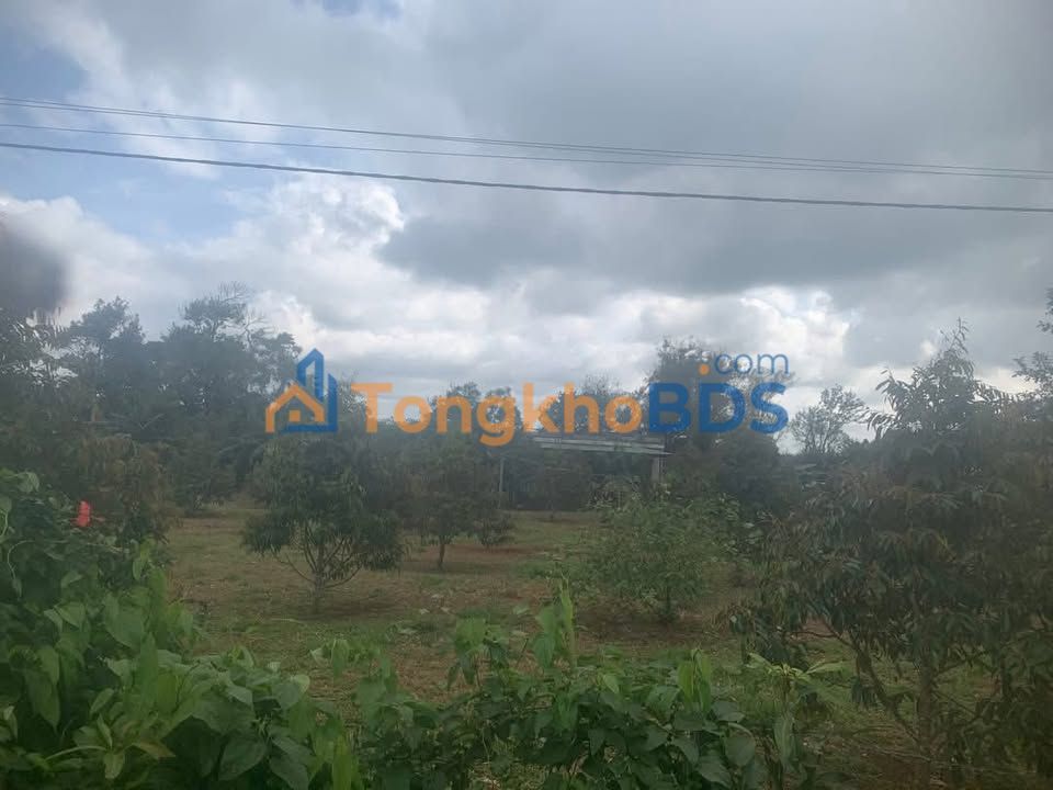 Đất vườn Buôn Pơr 400m² 3,8 tỷ - Sinh thái xanh