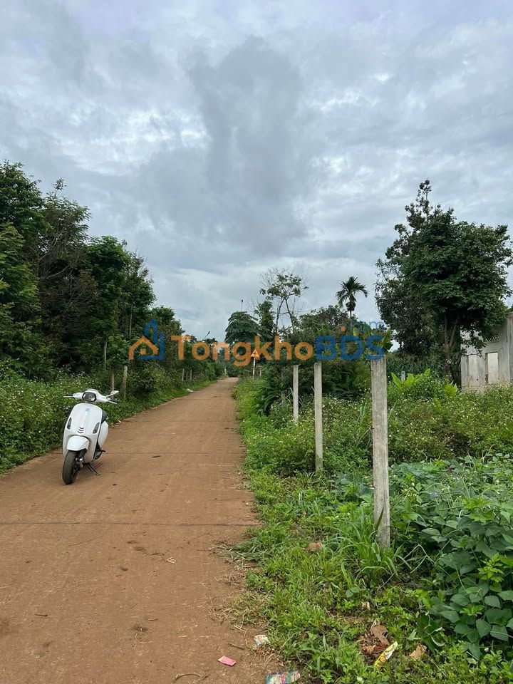 Đất nền Tân Lập BMT 730m² 2,5 tỷ - Tiềm năng tăng giá