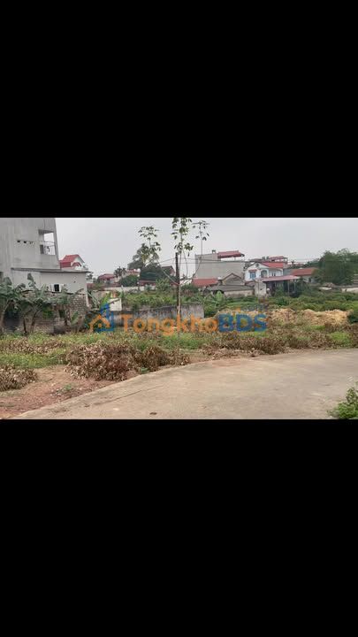 Đất nền Nhã Nam Tân Yên 110m² 5xx triệu - Đường to ô tô