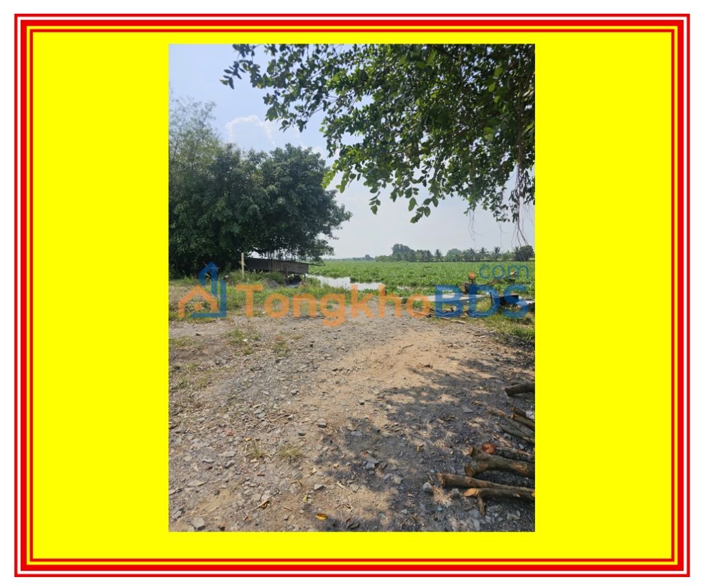 Đất nền Gò Dầu 600m² 1.4 tỷ - Sổ đỏ chính chủ ven sông