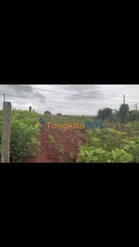 Đất Liên Hà Đà Lạt 1.000m² 1,6 tỷ - Sổ đỏ chính chủ