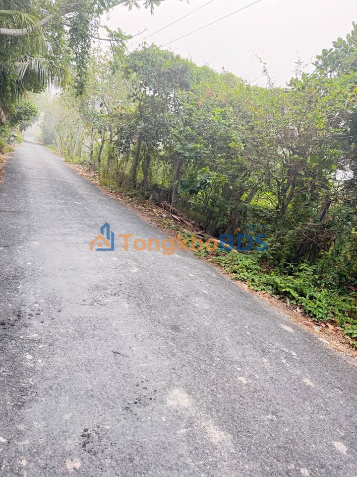 Đất nền Thạnh Quới Long Hồ 286m² 1 tỷ - Đường ô tô