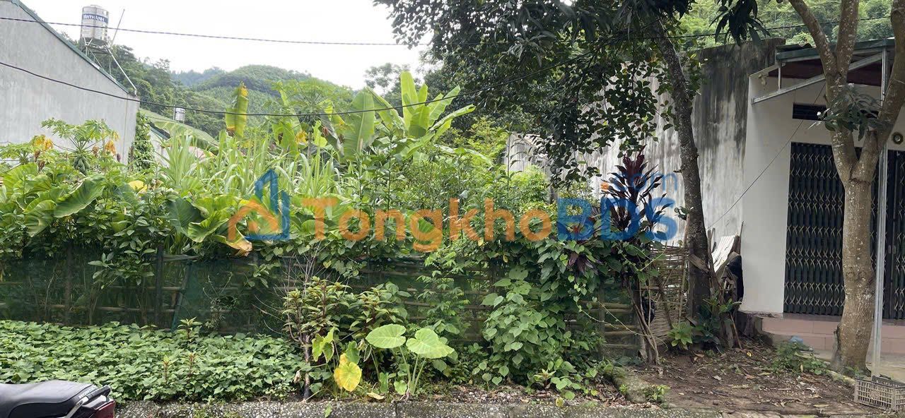 Đất nền Bản Phiệt QL70 141m² 1.4 tỷ - Sổ đỏ chính chủ