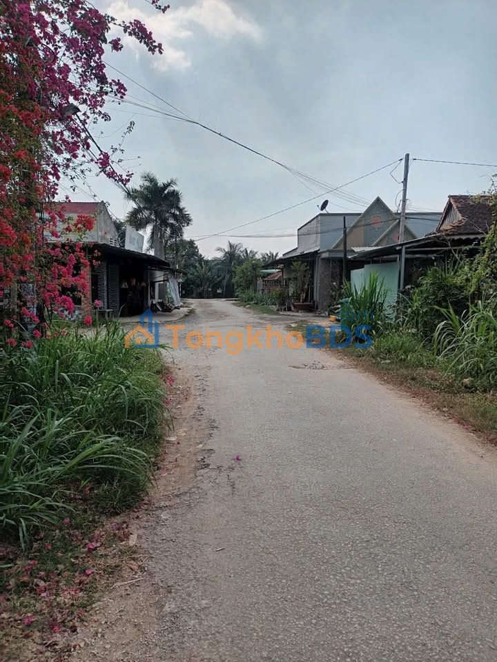 Đất nền An Hòa Trảng Bàng 378m² 1.6 tỷ - Sổ đỏ chính chủ