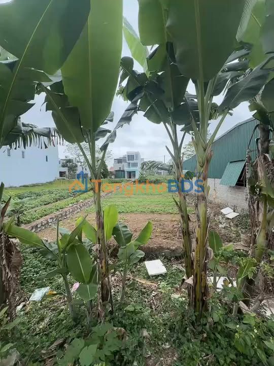 Đất nền QL47 Sầm Sơn 100m² giá thỏa thuận - Sổ đỏ sẵn