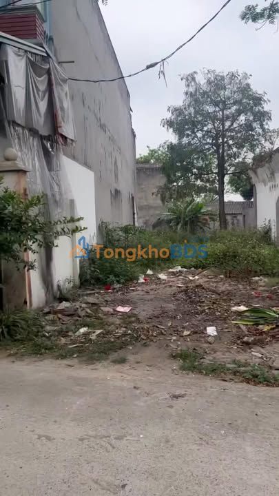 Đất thổ cư Hoàng Đan 173m² 2,003 tỷ - Thổ cư 100% kinh doanh