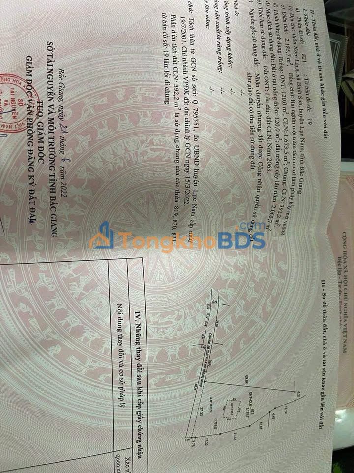 Đất Bình Sơn Lục Nam 1700m2/1 tỷ - Sổ đỏ chính chủ