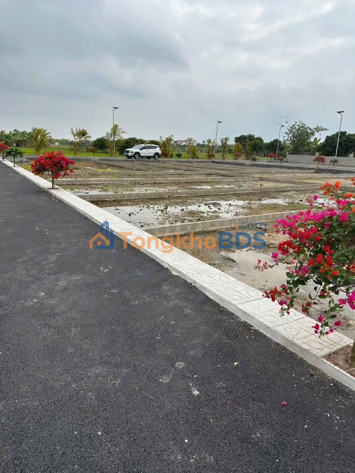 Đất nền An Lão TL301 70m² 600-899 triệu - Tiềm năng tăng giá