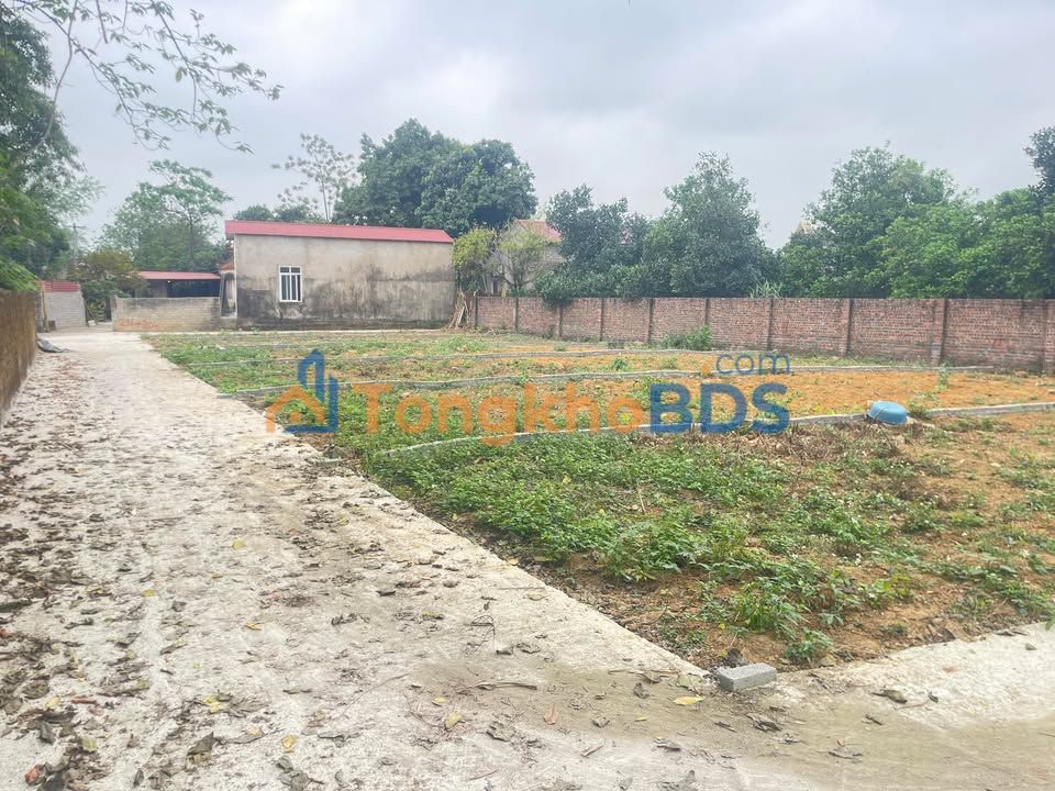 Đất TDP Mai Thượng Tự Lạn 103m² 900 triệu - Ô tô vào tận đất