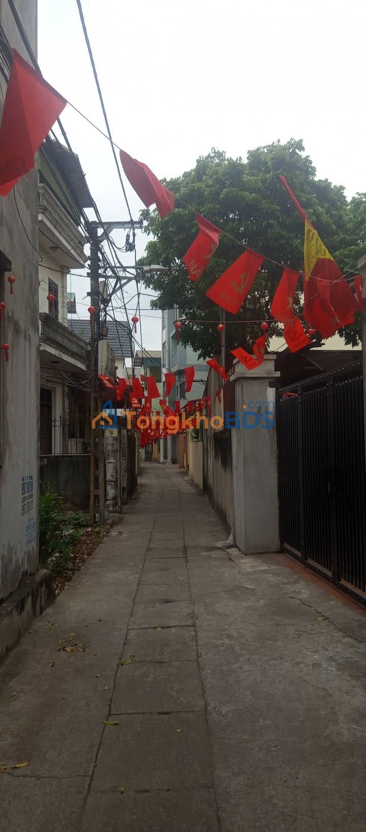 Đất nền Trâu Quỳ Gia Lâm 52m² 7.4 tỷ - Tiềm năng tăng giá