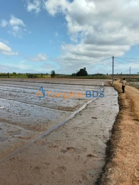 Đất ruộng Phú Thiện 3,8ha giá dưới 3 tỷ - Giá đầu tư tốt