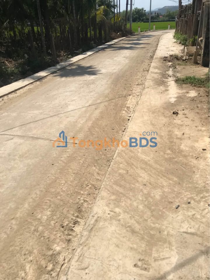 Đất nền Diên Phú Tân Châu 169m² 1 tỷ - Tiềm năng tăng giá