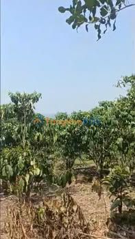 Đất nền TL725 Lộc Ngãi 13.000m² 15.347 tỷ - Sổ đỏ chính chủ