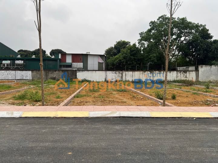 Đất nền Đồng Trạng Cổ Đông 124m² giá 3 tỷ - Sổ đỏ chính chủ