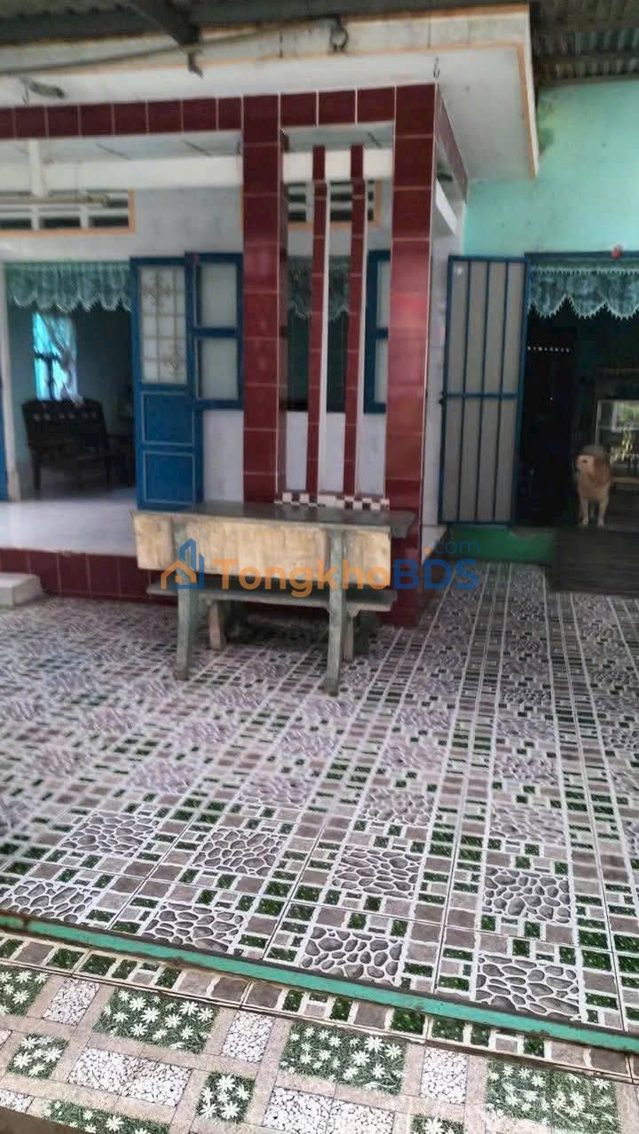 Đất thổ cư Thái Hòa Tân Uyên 228m² 2.3 tỷ - Sổ đỏ chính chủ