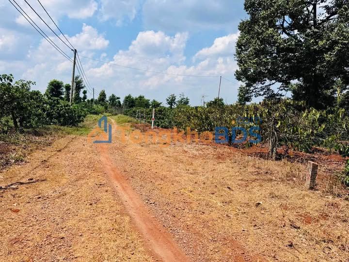 Đất nền Ea Kiết 60m² 189 triệu - Sổ đỏ chính chủ đất thổ cư