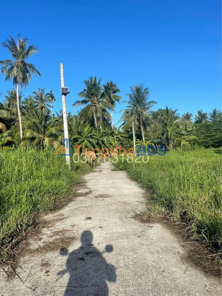 Đất nền Phường 4 Trà Vinh 100m² 180 triệu - Xây dựng tự do