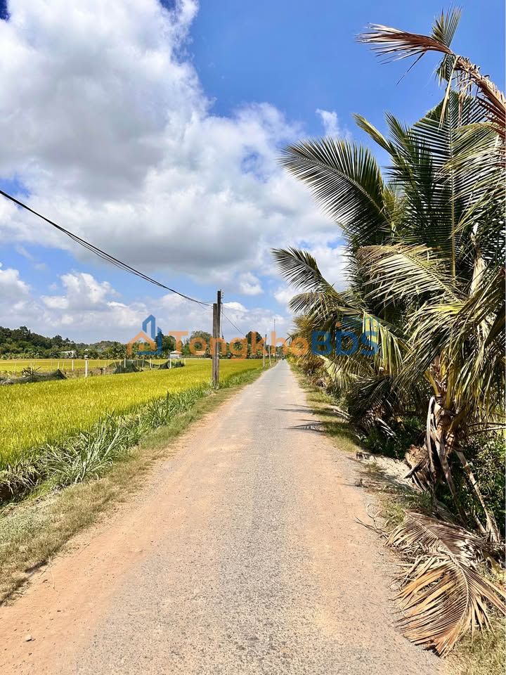 Đất ruộng Mỹ Chánh 6.040m² 1,147 tỷ - Đường nhựa ô tô