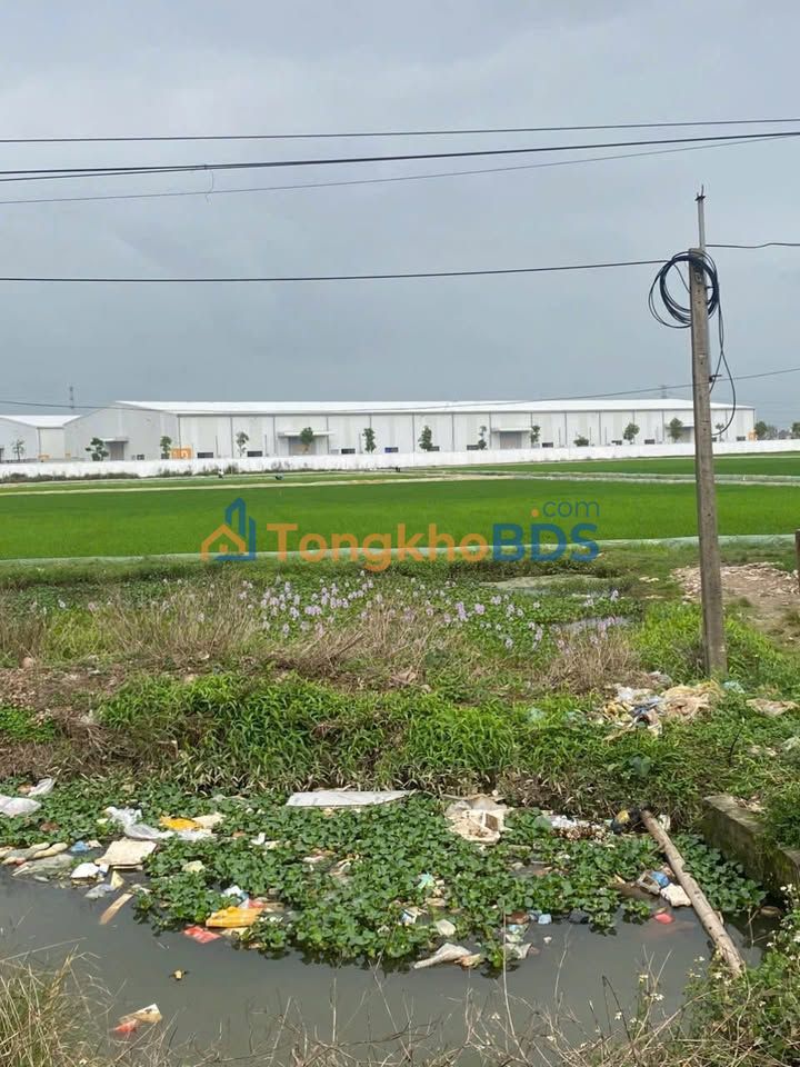 Đất TL490 Đồng Sơn Nam Trực 59m² 3 tỷ - Sổ đỏ chính chủ