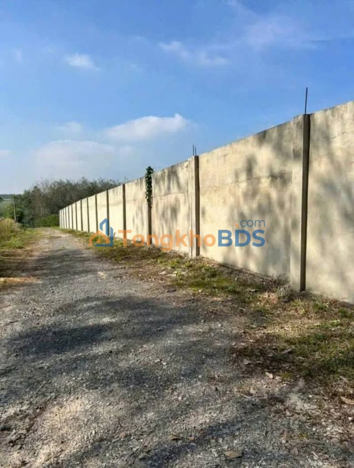 Đất nền Tân Định Bắc Tân Uyên 50.000m² 25 tỷ - Sổ đỏ chính chủ