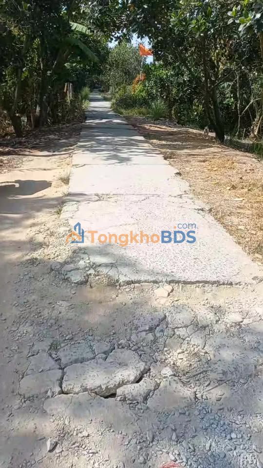 Đất vườn Mỹ Trung 2.300m² 2,2 tỷ - Sổ đỏ chính chủ gấp