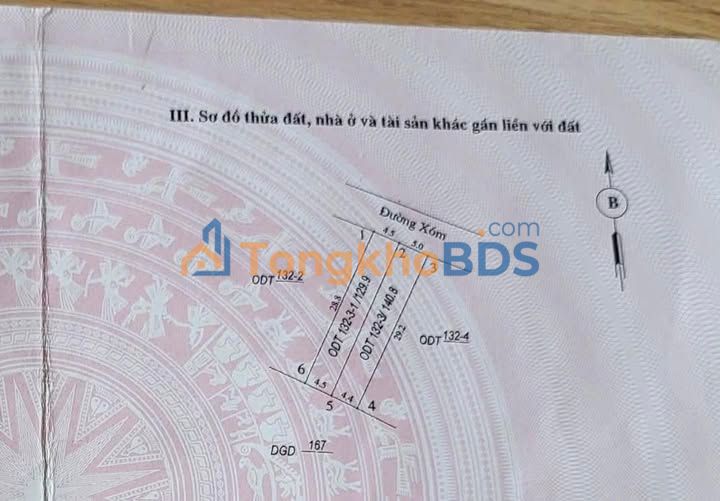 Đất nền Thanh Sơn 130m² dưới 2 tỷ - Tiềm năng tăng giá