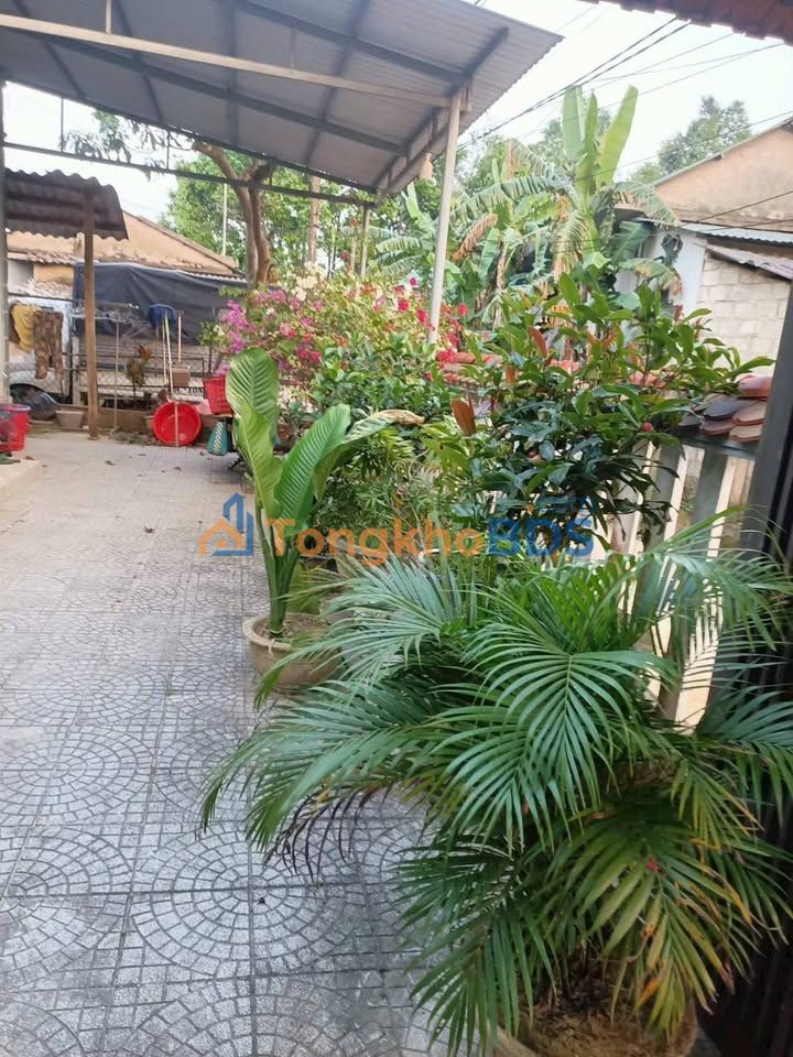 Đất nền Thủy Lương, Hương Thủy 200m² 1,3 tỷ - Đường to ô tô