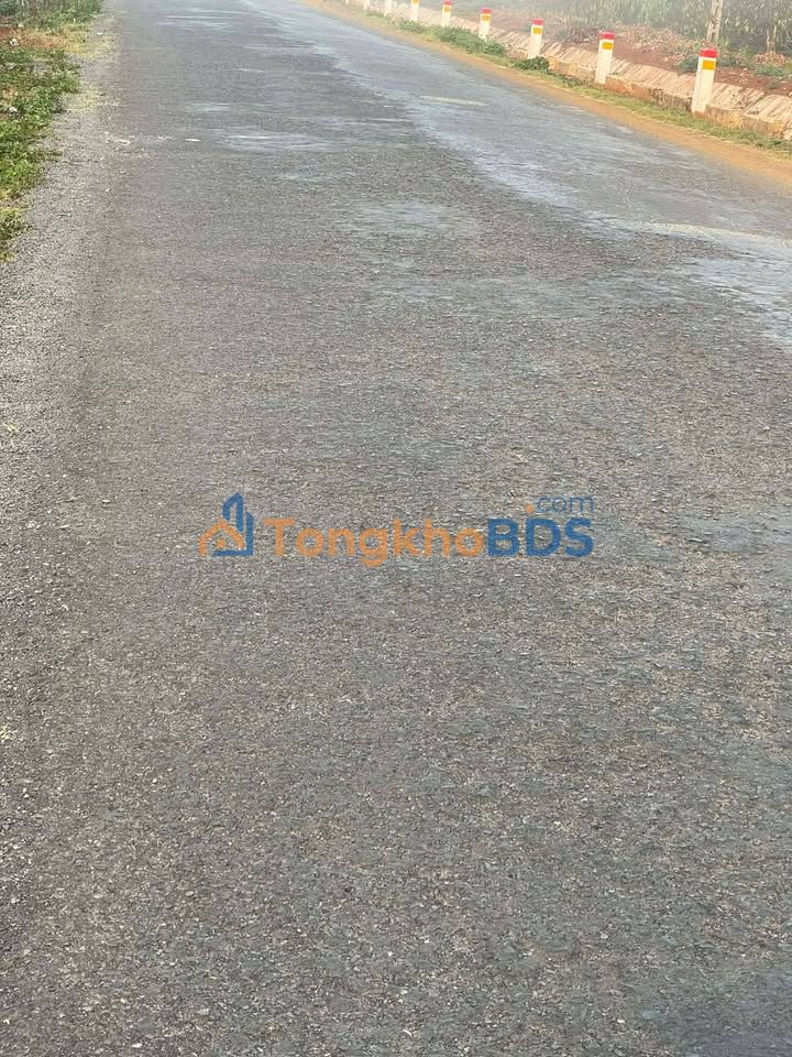 Đất nền Ea Ktur 500m² giá 165 tỷ - Tiềm năng tăng giá